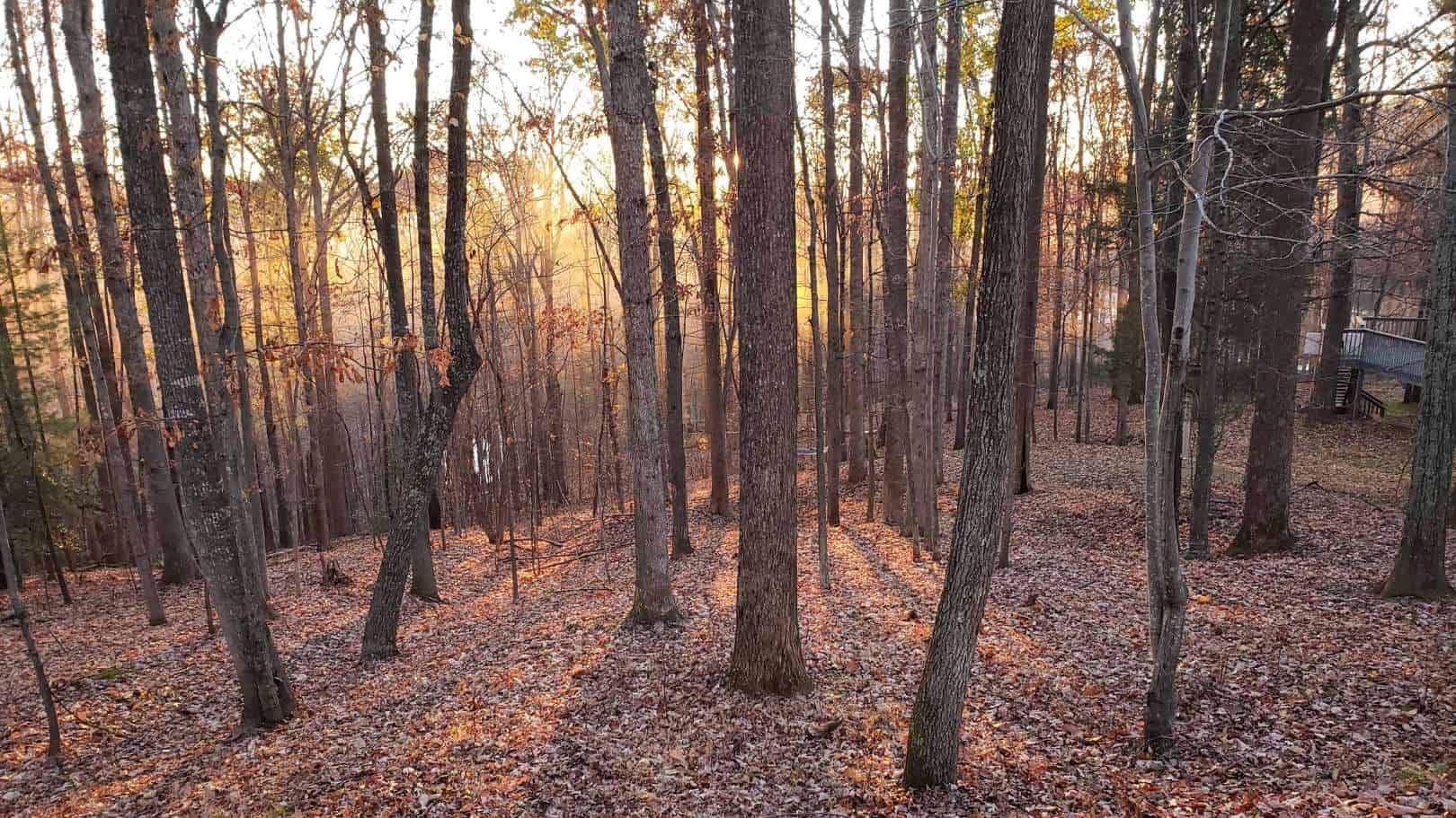 The Quiet Work: A 4 Day Immersive Retreat