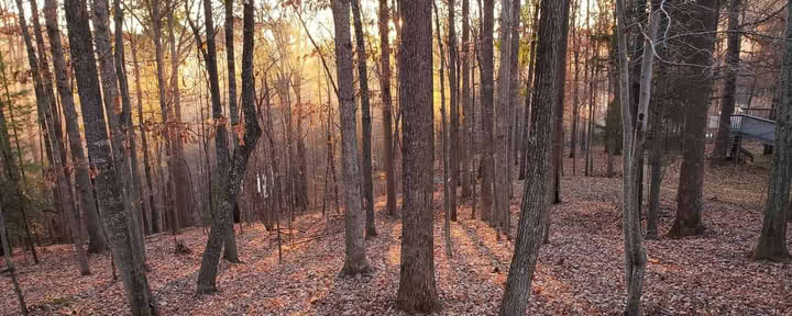 The Quiet Work: A 4 Day Immersive Retreat