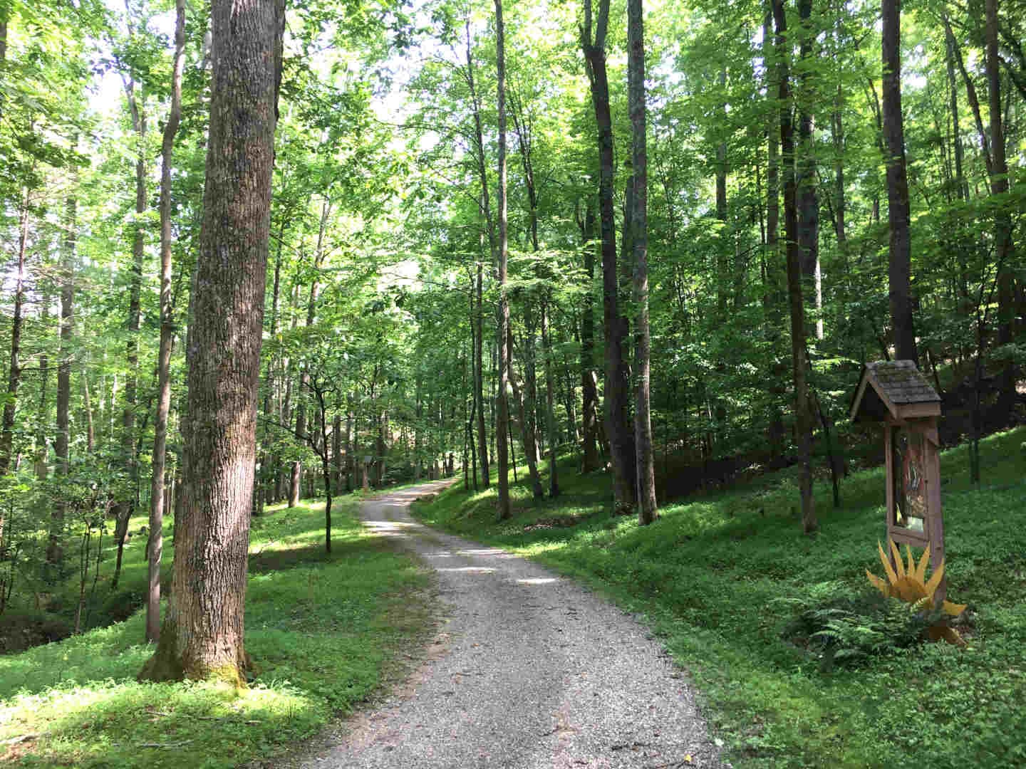 A 4-Day Retreat – Breath, Body & Sound