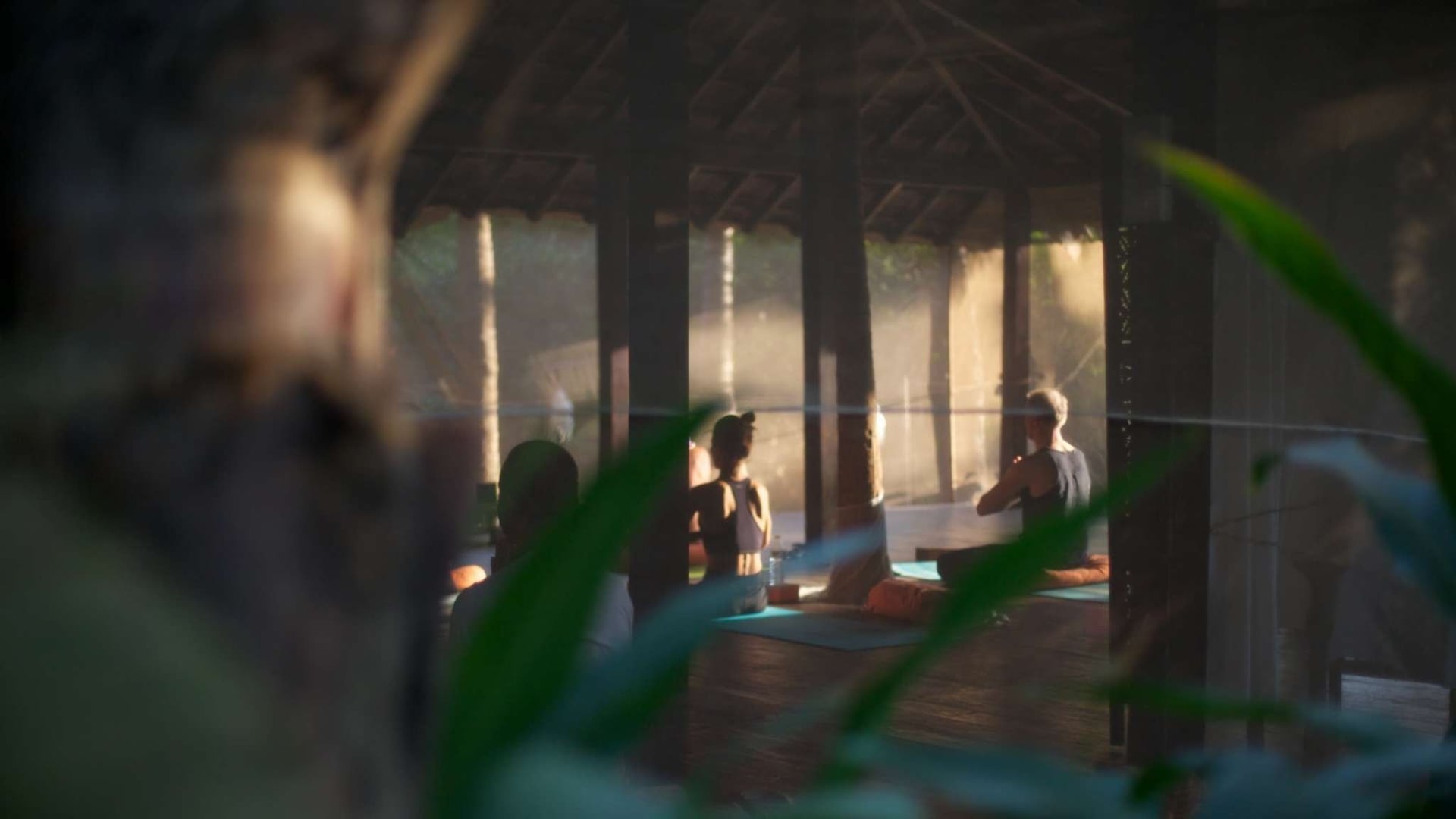 Fire and Nectar Yoga Retreat in Goa, India