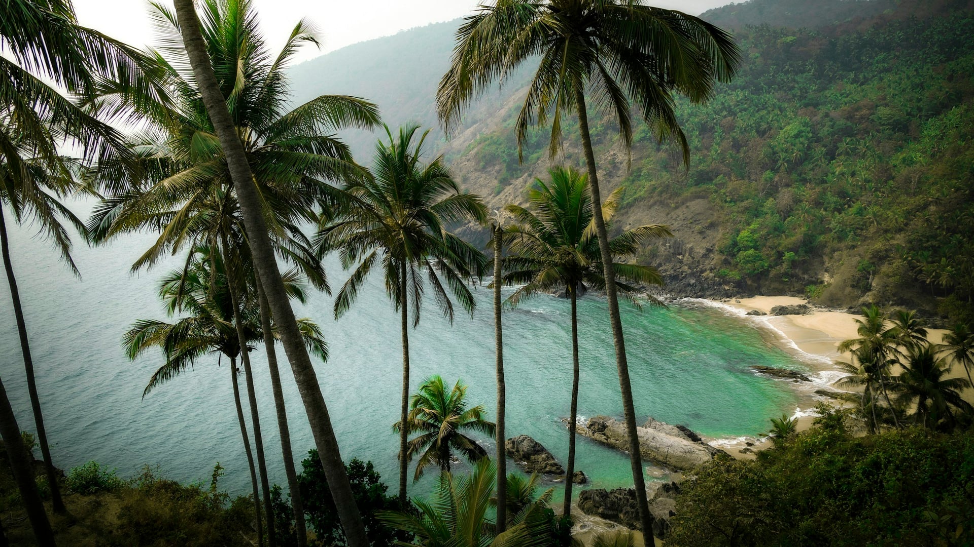 Fire and Nectar Yoga Retreat in Goa, India