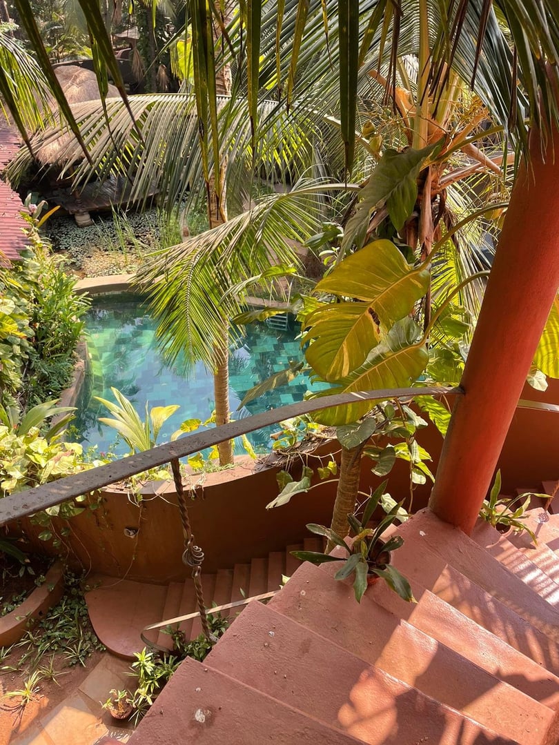 Fire and Nectar Yoga Retreat in Goa, India