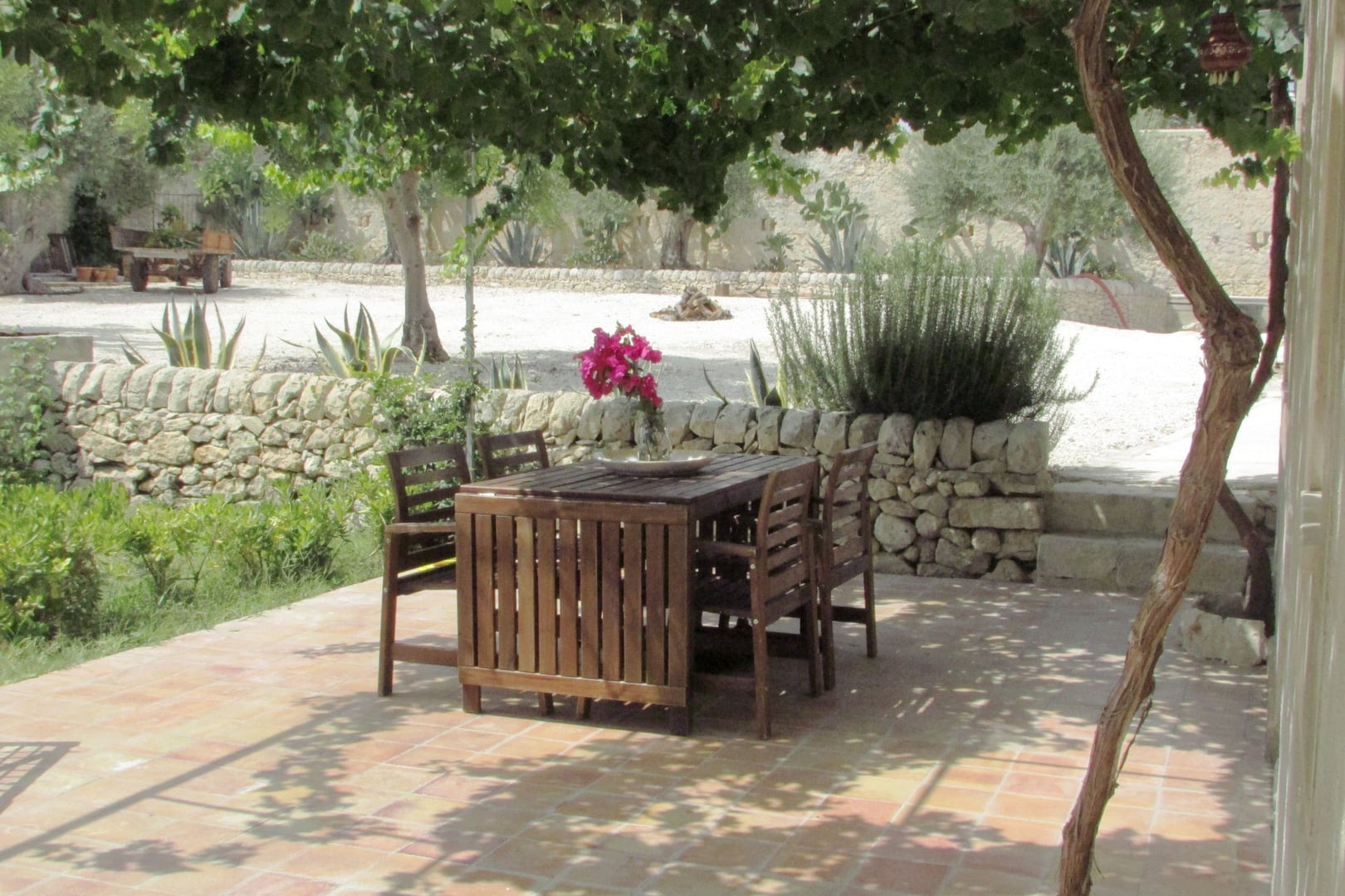 Summer Glow Yoga Retreat