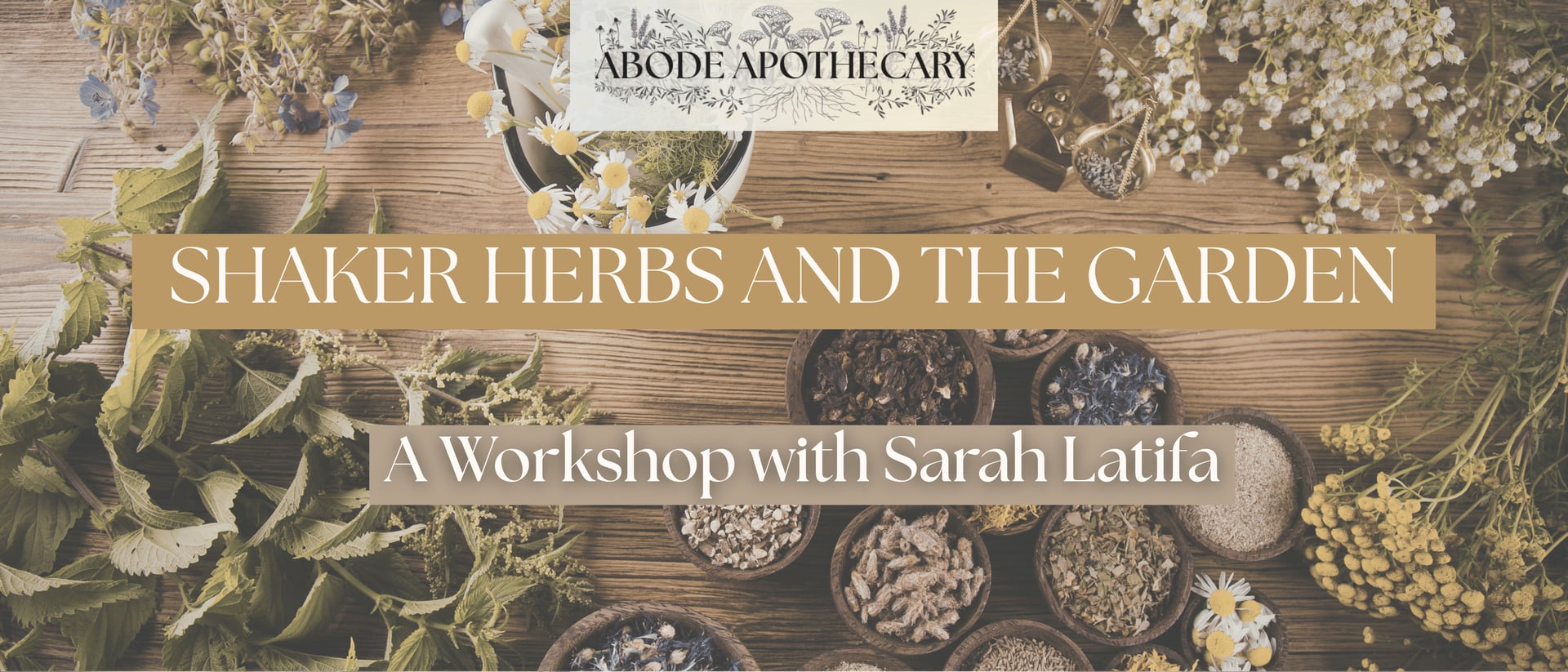 Abide Healing Circle