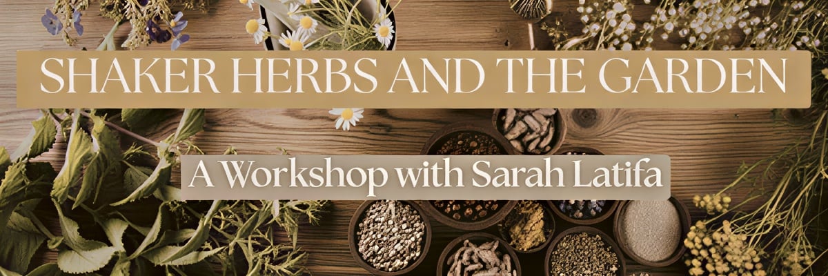 Shaker Herbs and the Medicinal Garden — The Abode
