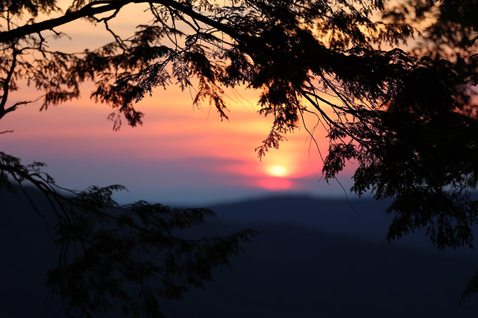 Monthly Zikr — The Abode