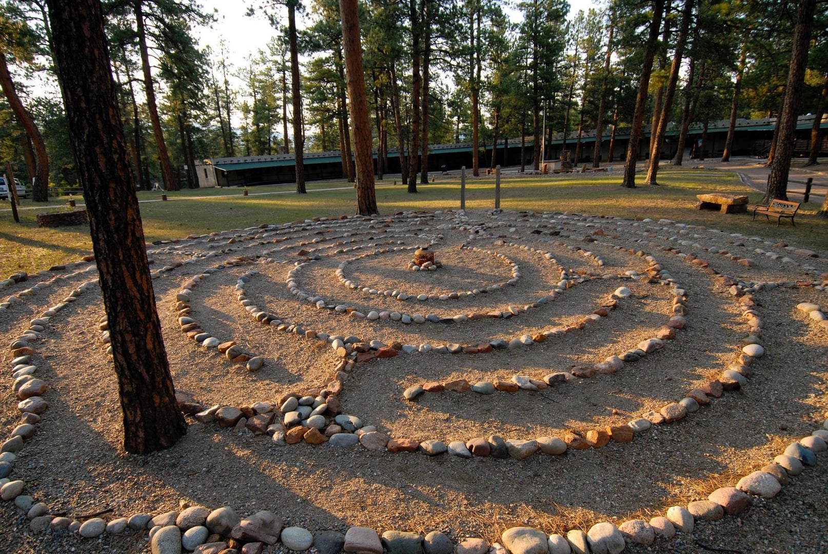 Public Raptor Center Tours