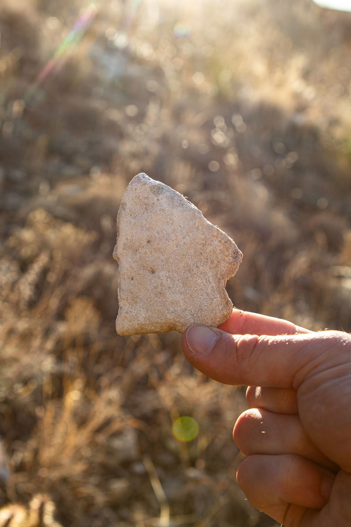 Public Raptor Center Tours