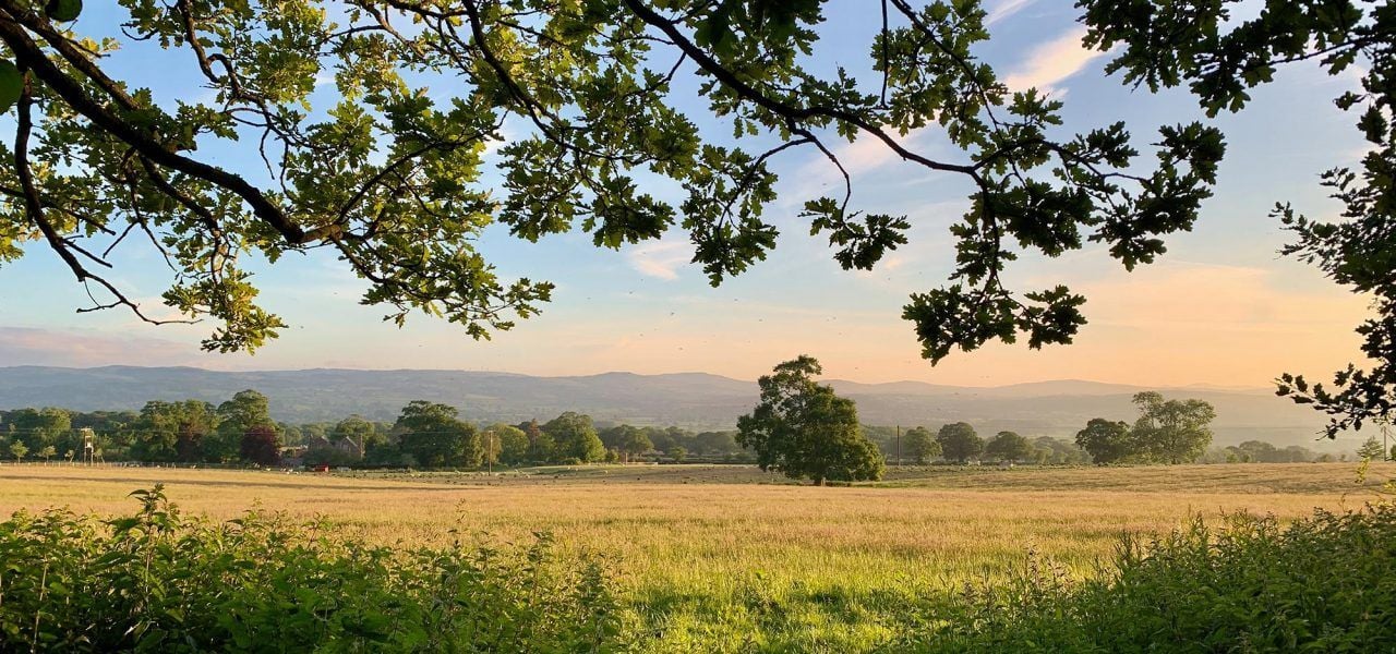 Yoga & Hiking Retreat