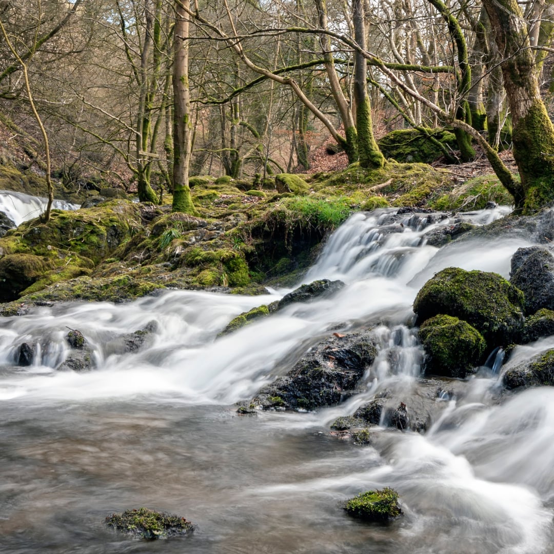 Lake District Yoga and Walking Retreat