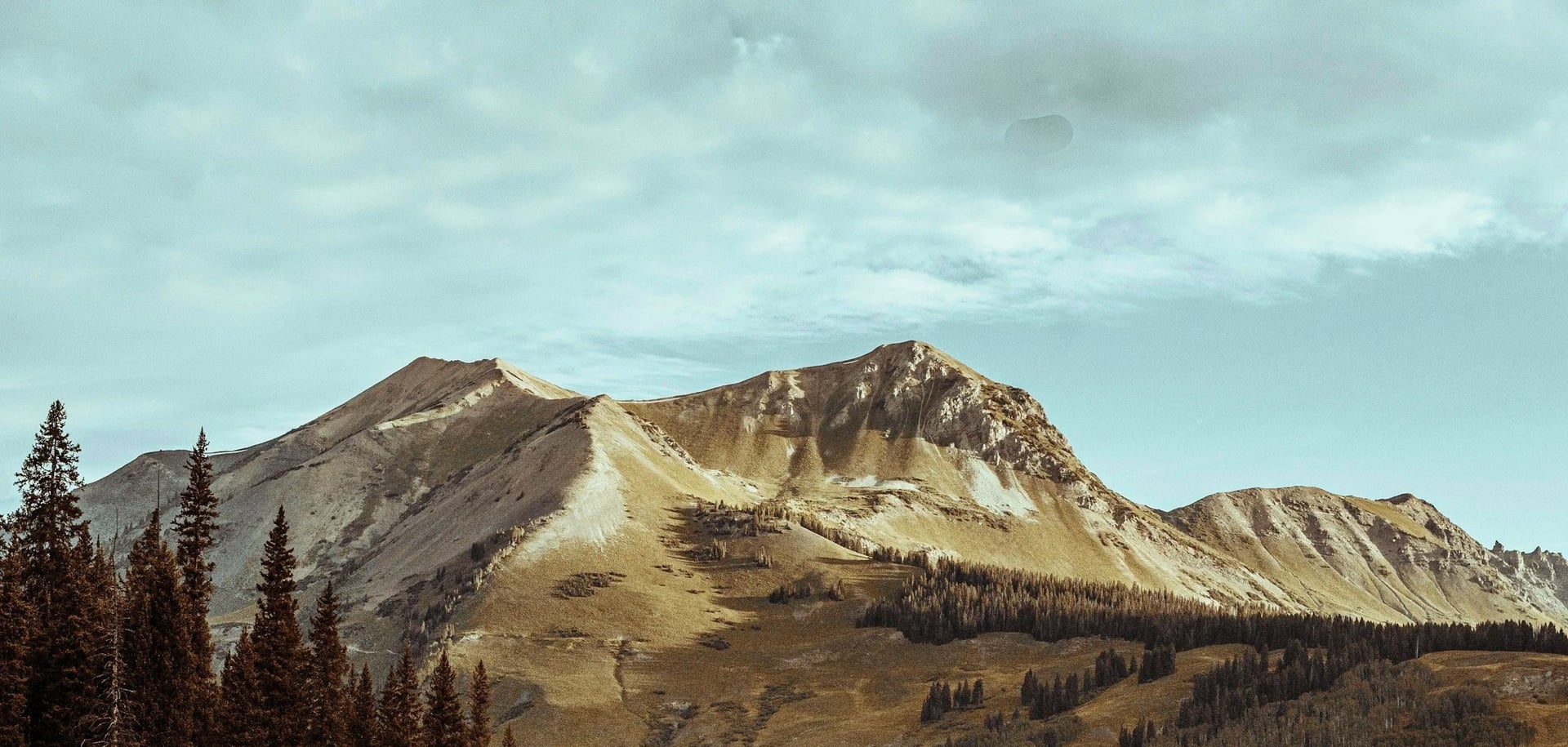 Retreat with Sharon Landrith