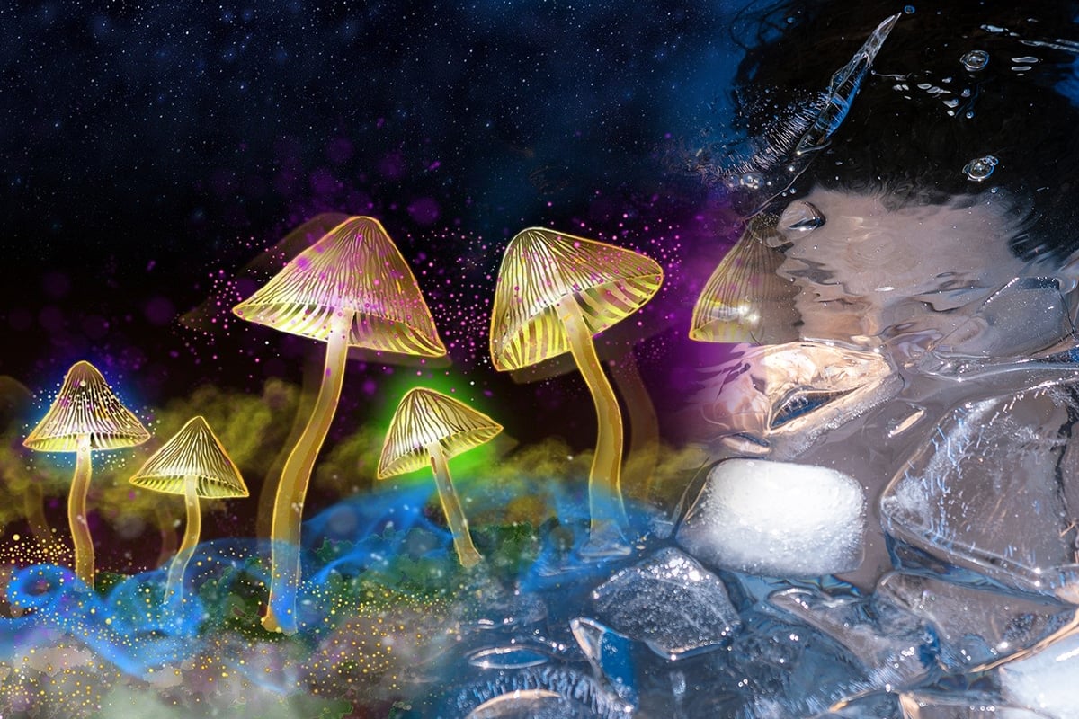 The Mycelia Pathways Ceremony