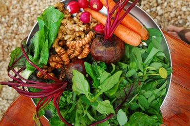 Body Cleanse Detox Program