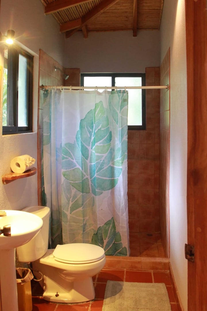 Body Cleanse Detox Program