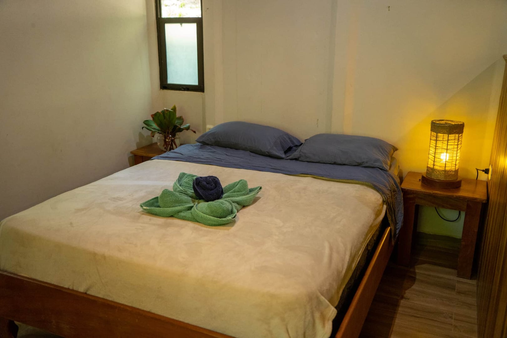 Body Cleanse Detox Program