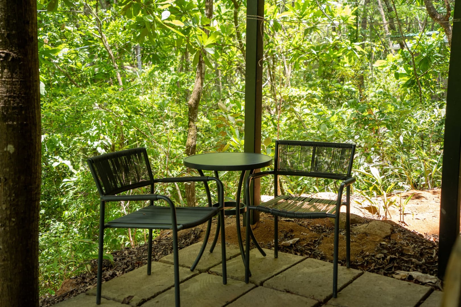 Body Cleanse Detox Program