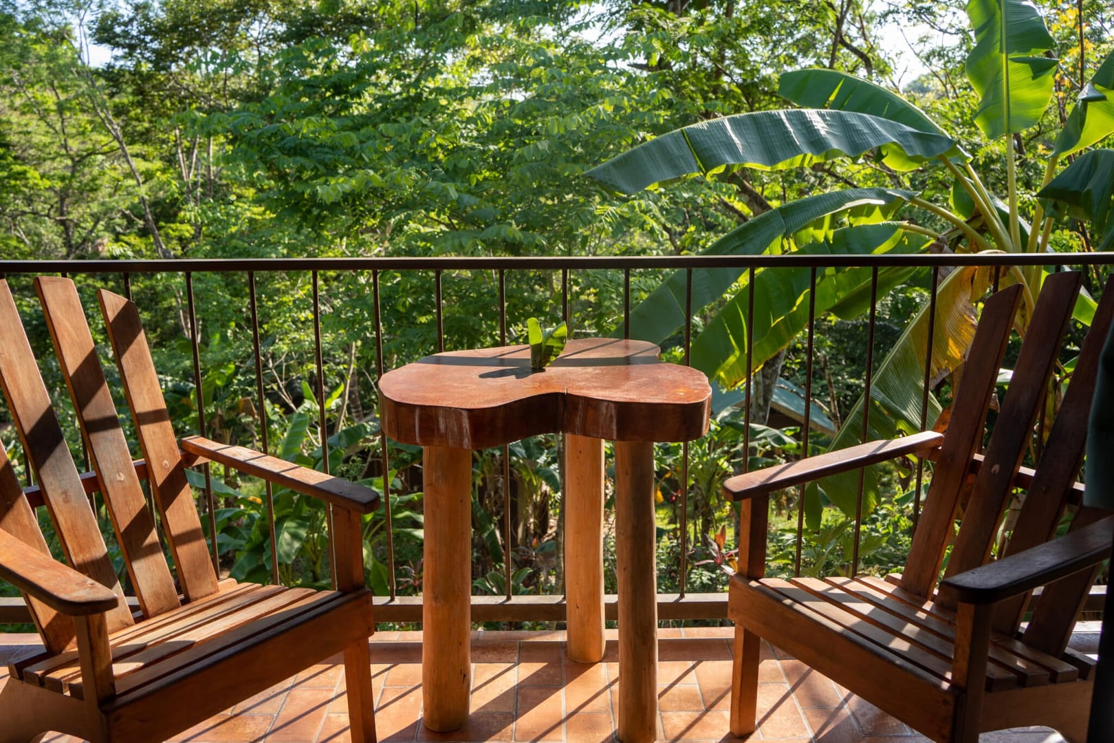 Body Cleanse Detox Program