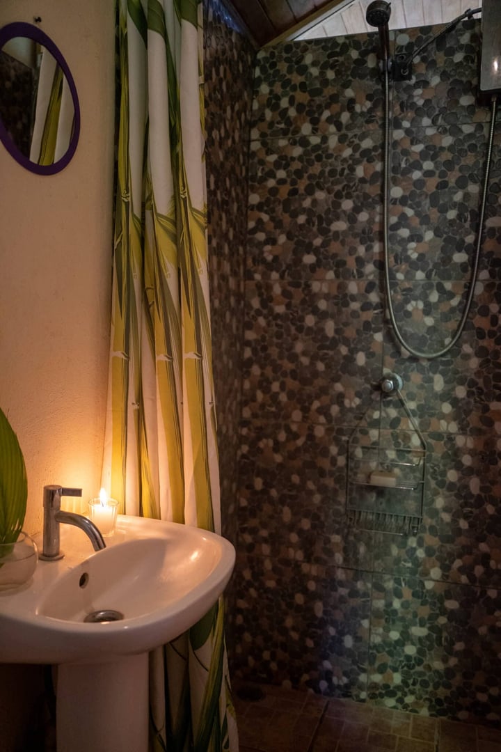 Body Cleanse Detox Program