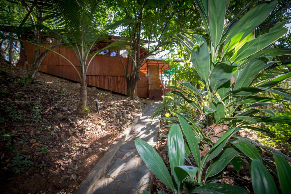 Silent Retreat Package – July 2026