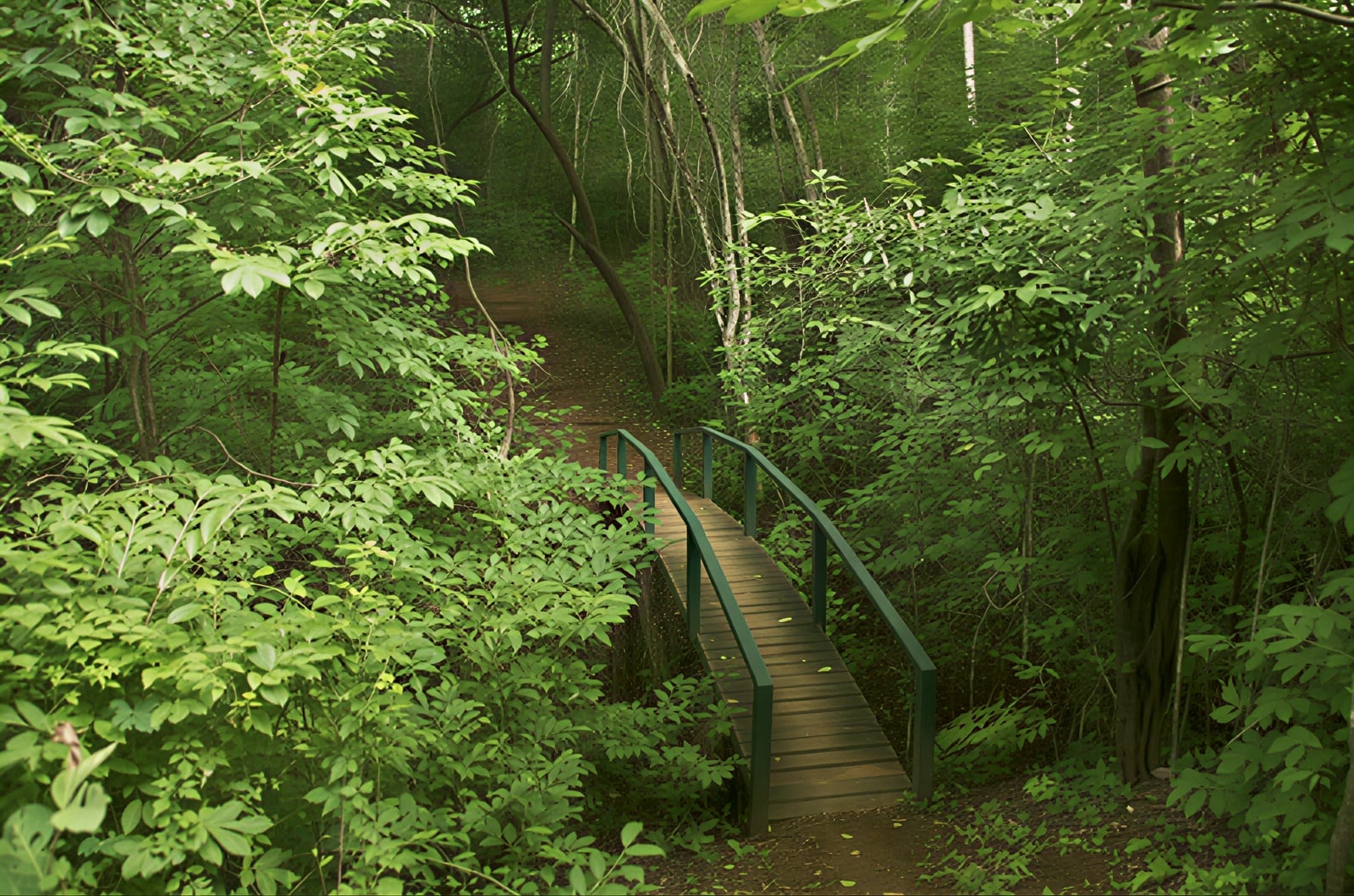 Silent Retreat Package – July 2026