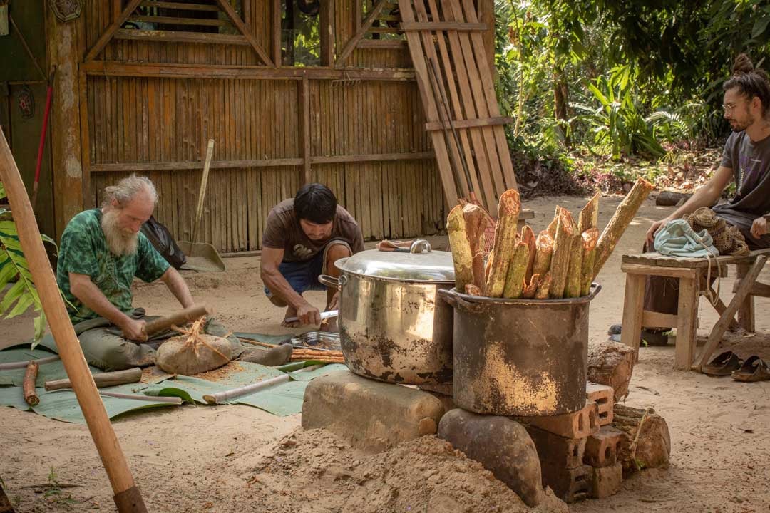Ayahuasca Ceremony