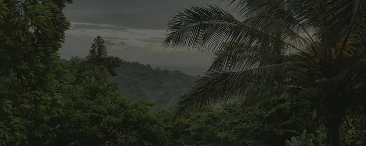 Private Yoga & Wellness Retreat