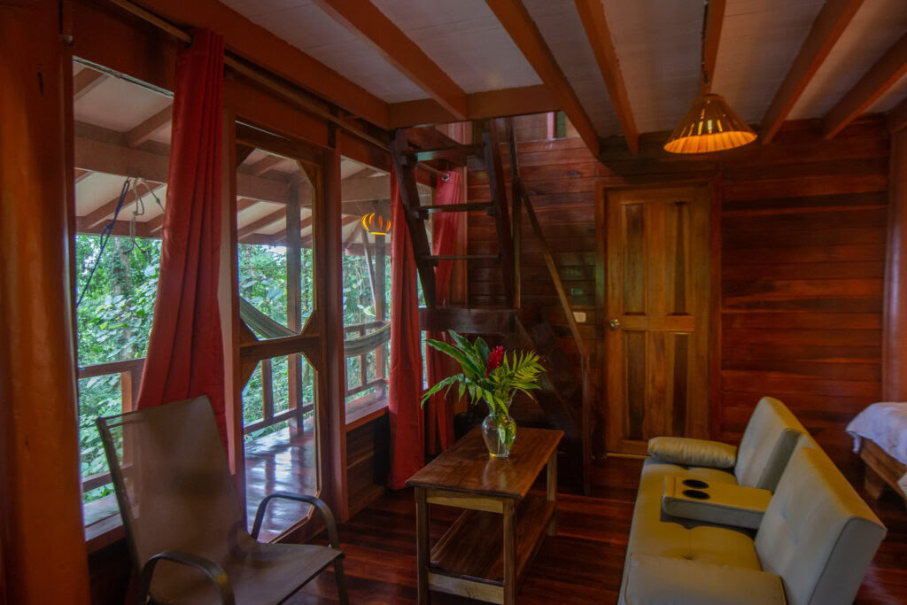 Experience Rejuvenation, Healing & Clarity