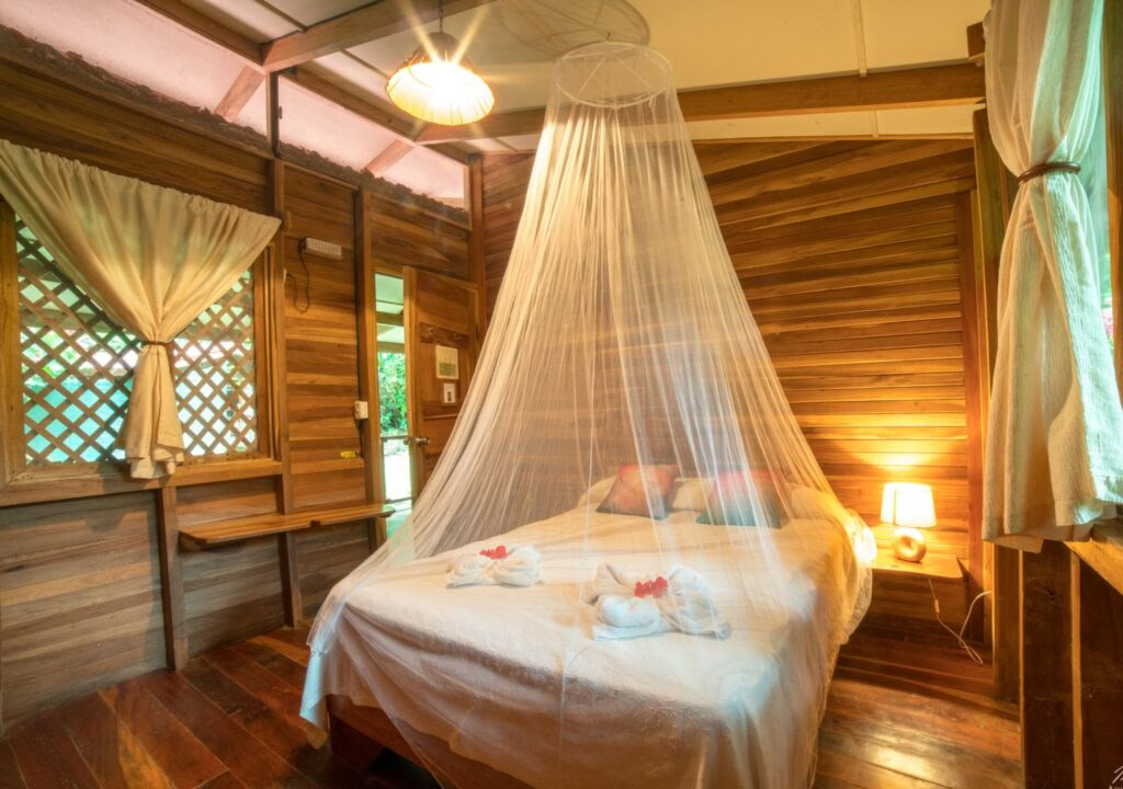 Experience Rejuvenation, Healing & Clarity