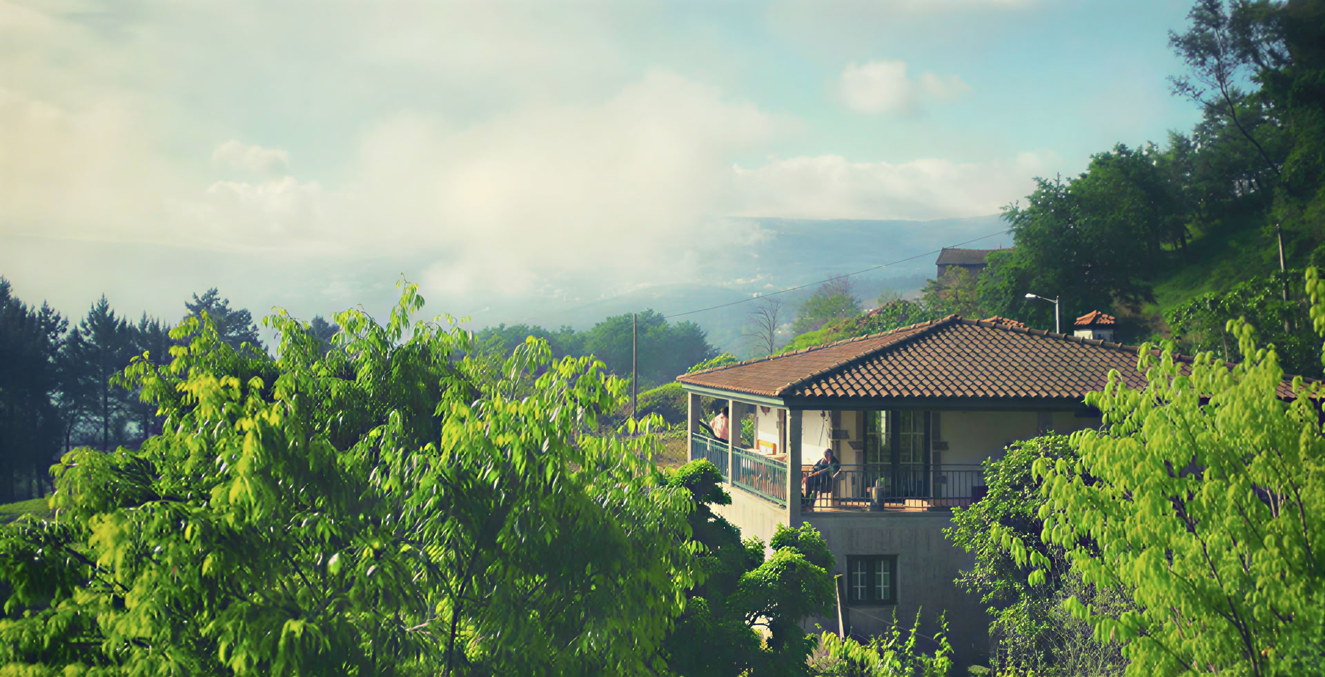 4-day | 3 Nights Group Huachuma San Pedro Retreat
