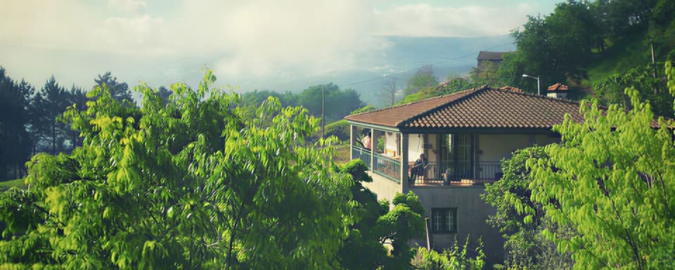 4-day | 3 Nights Group Huachuma San Pedro Retreat