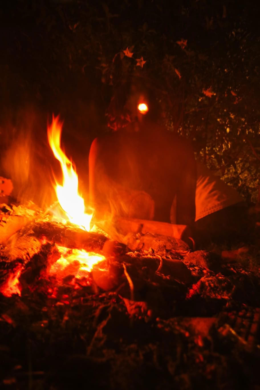 Riding the Tiger Retreat in Berlin: from letting go to personal power