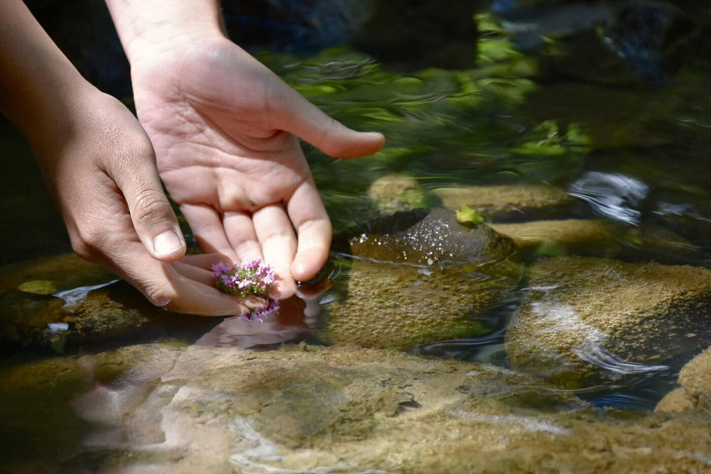 Yoga Teacher Training in France – 26th of september – 18th of october 2026