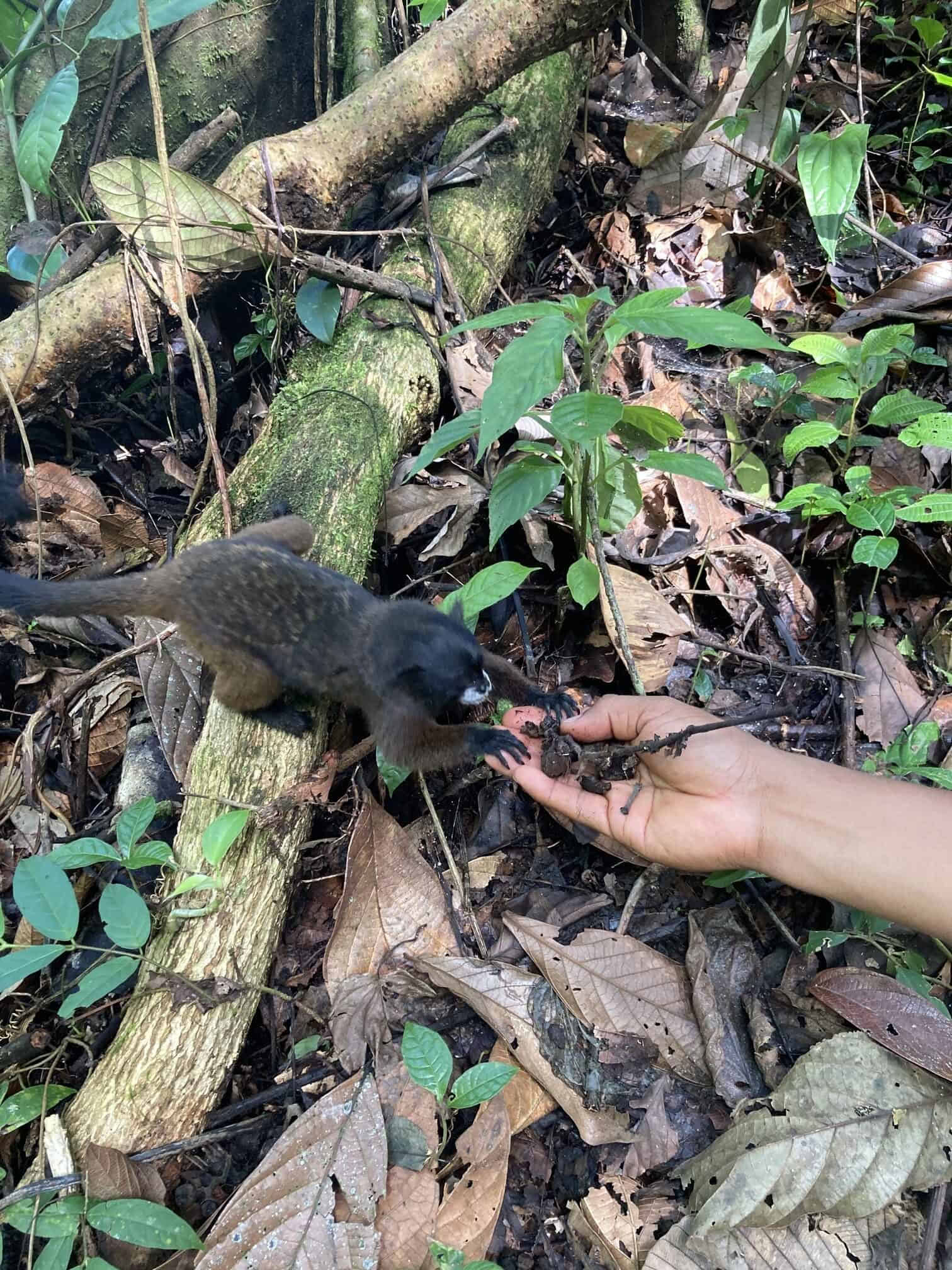 Retreat Extension – September