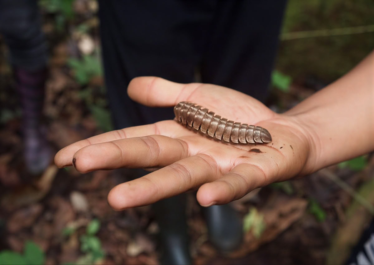 Retreat Extension – September