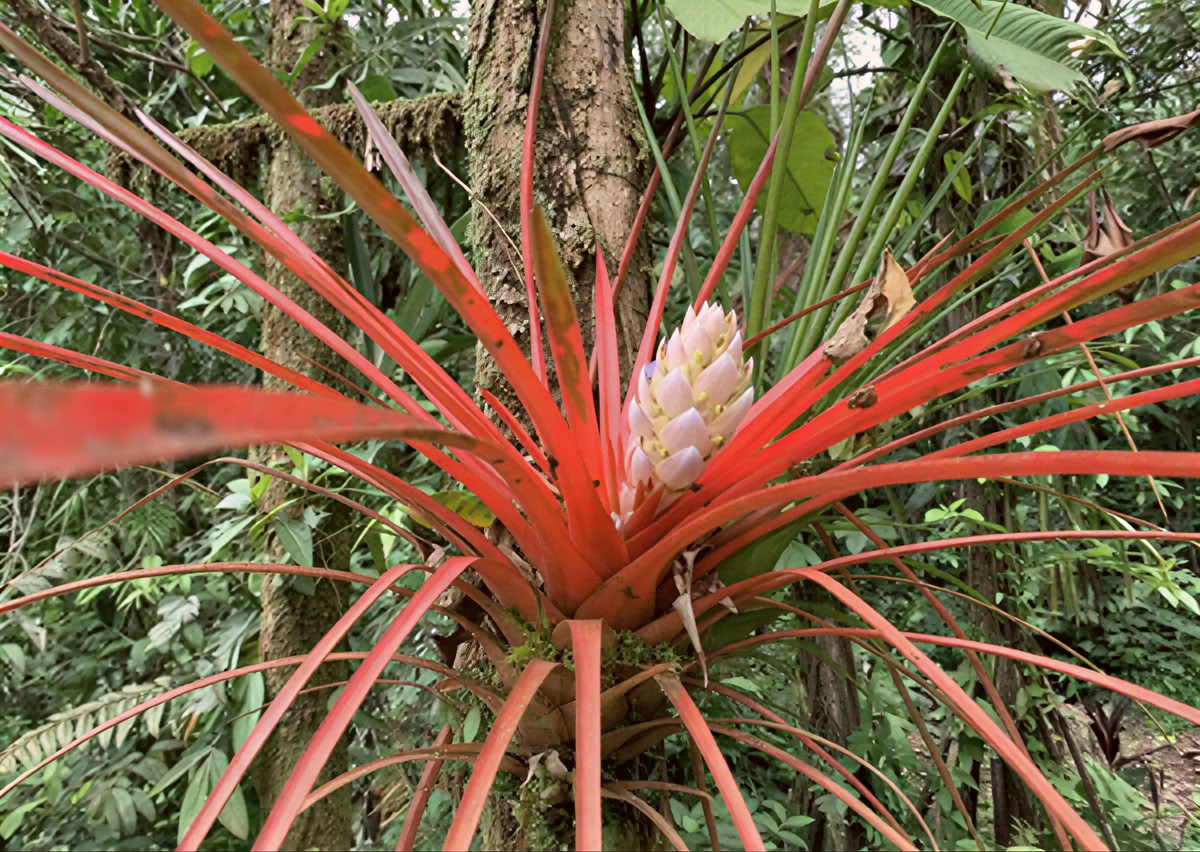 Retreat Extension – September