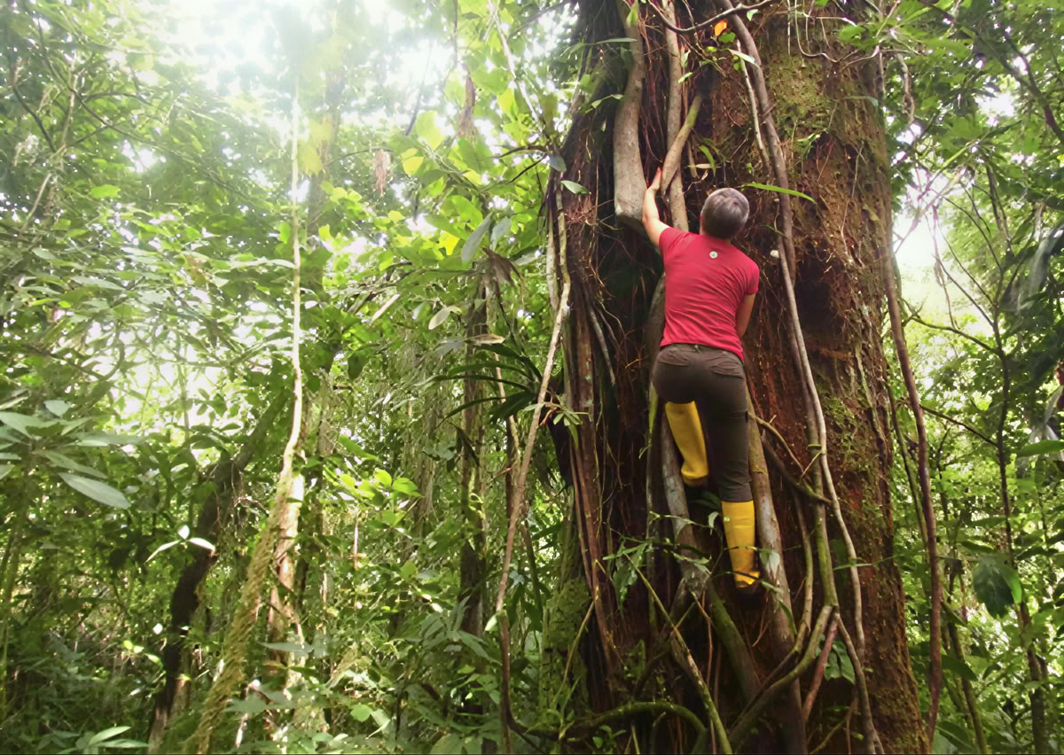 Retreat Extension – September