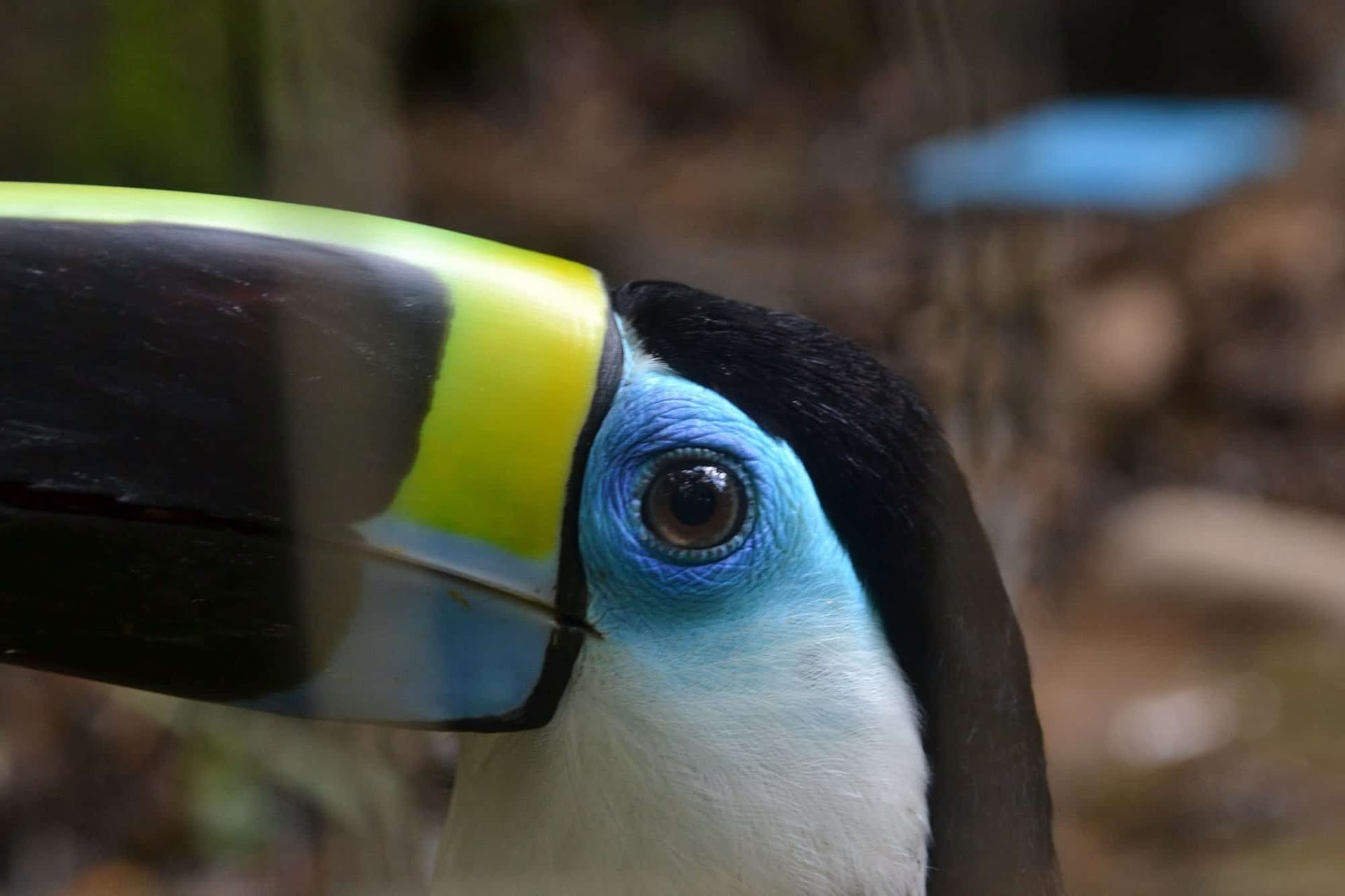 Retreat Extension – October