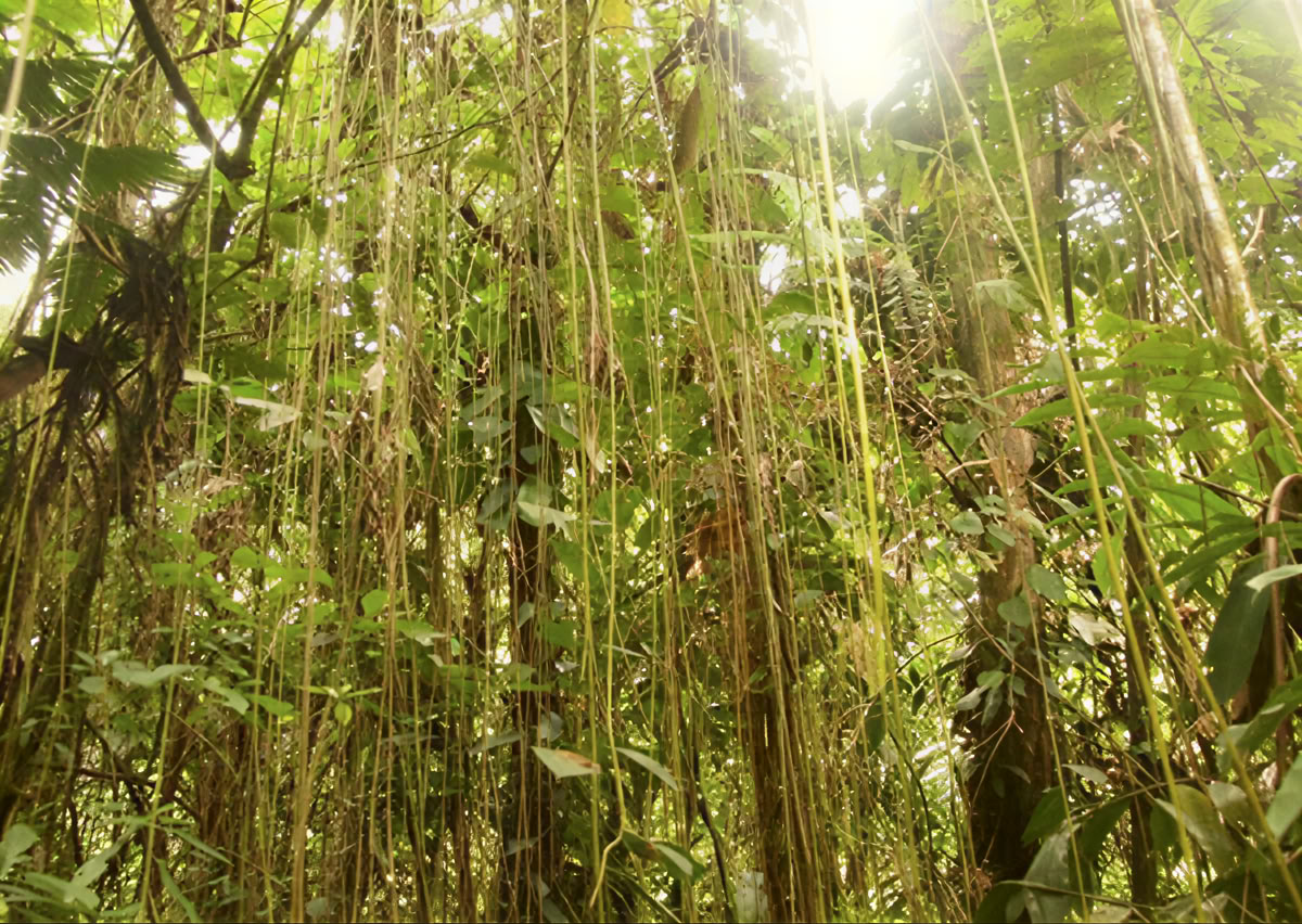 Retreat Extension – October