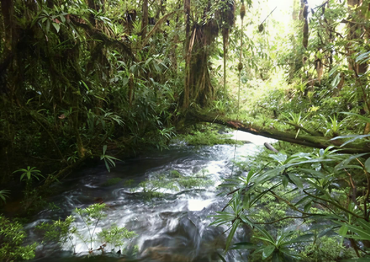 Retreat Extension – October