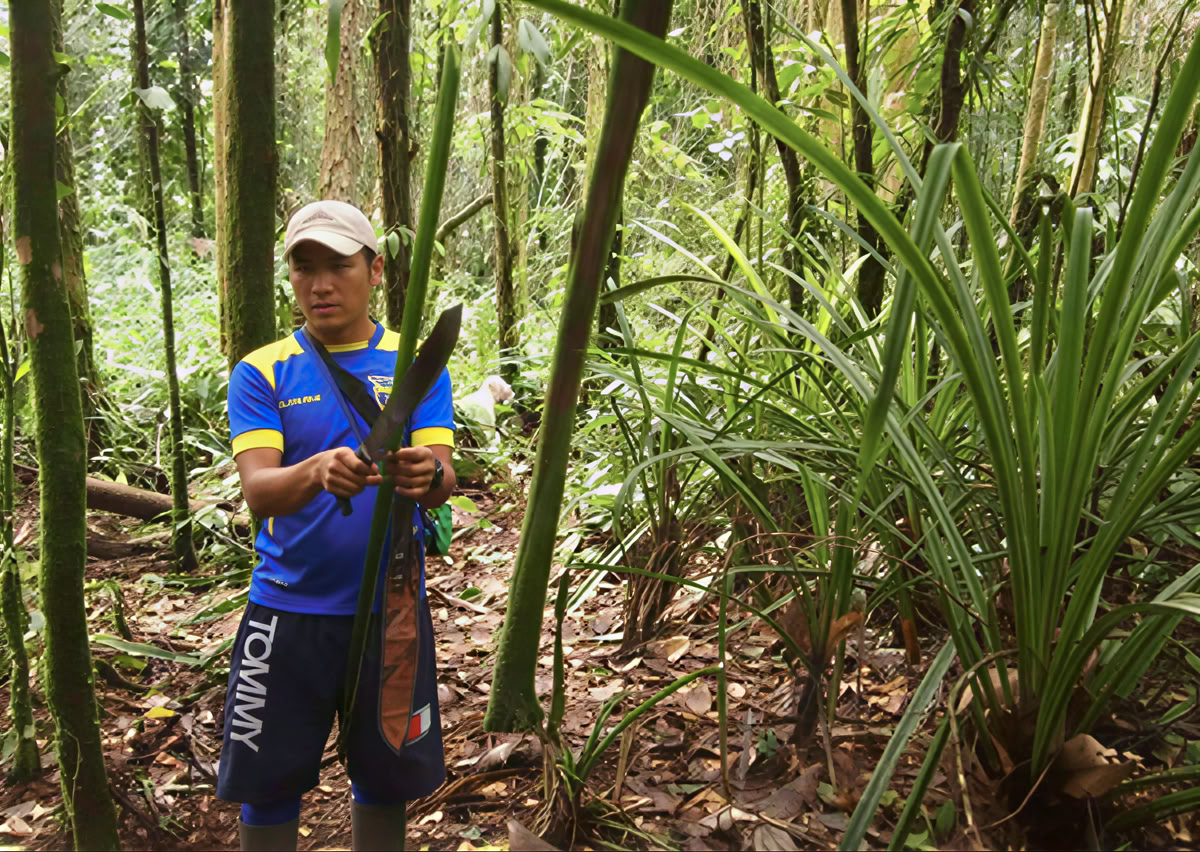 Retreat Extension – October