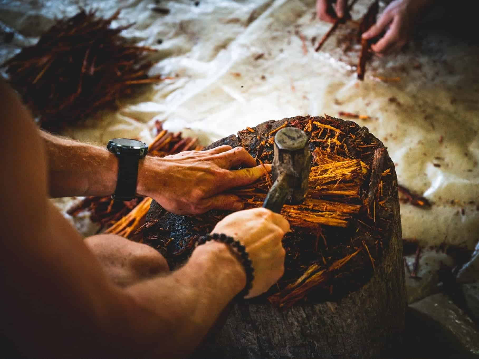 5-day Ayahuasca Retreat in Ecuador