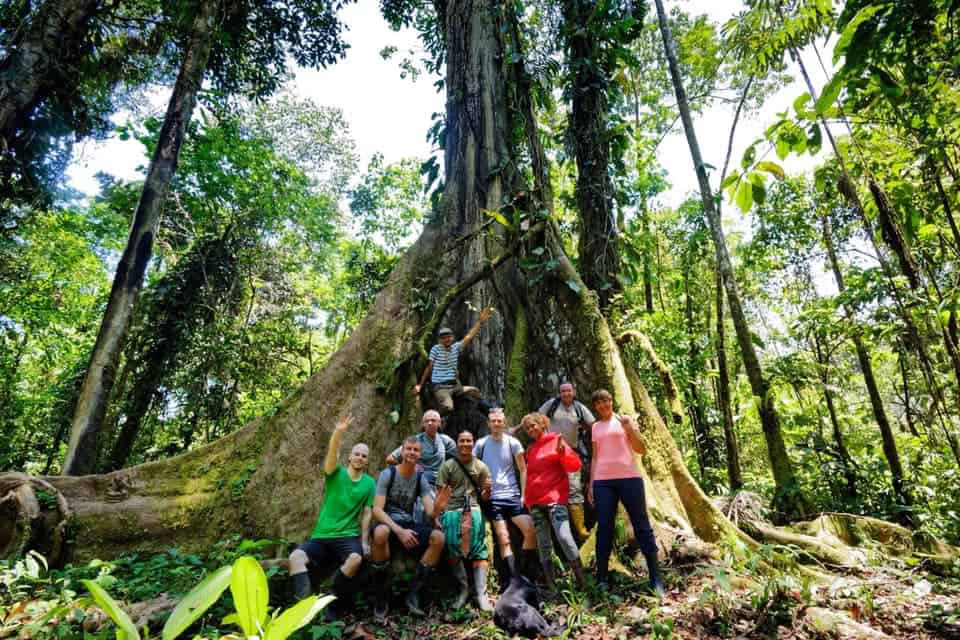 5-day Ayahuasca Retreat in Ecuador