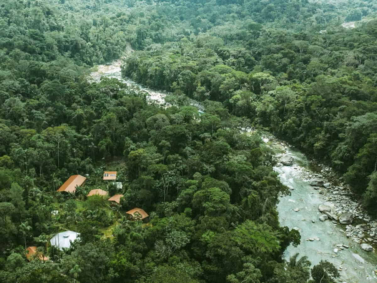 5-day Ayahuasca Retreat in Ecuador