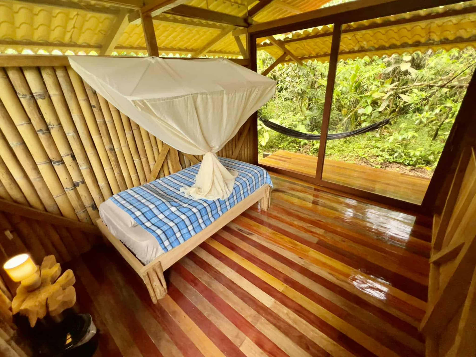 5-day Ayahuasca Retreat in Ecuador