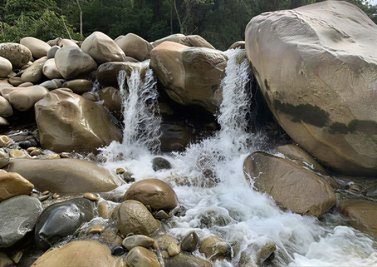 5-day Ayahuasca Retreat in Ecuador