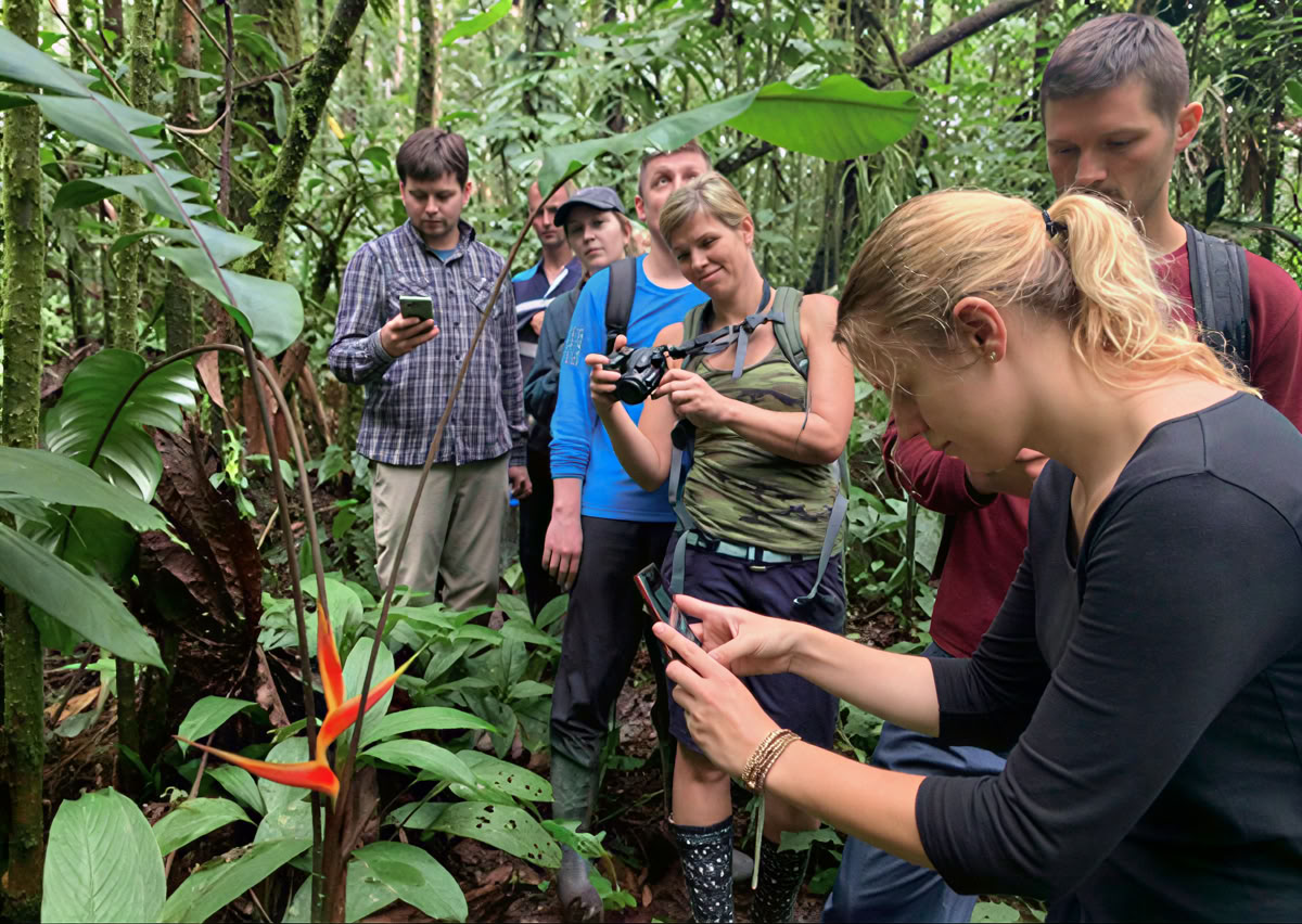 5-day Ayahuasca Retreat in Ecuador
