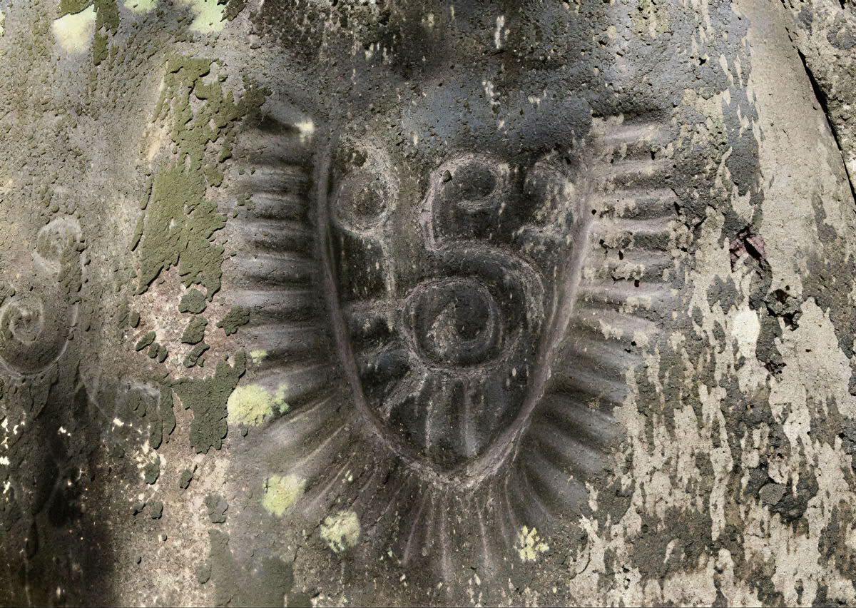 5-day Ayahuasca Retreat in Ecuador