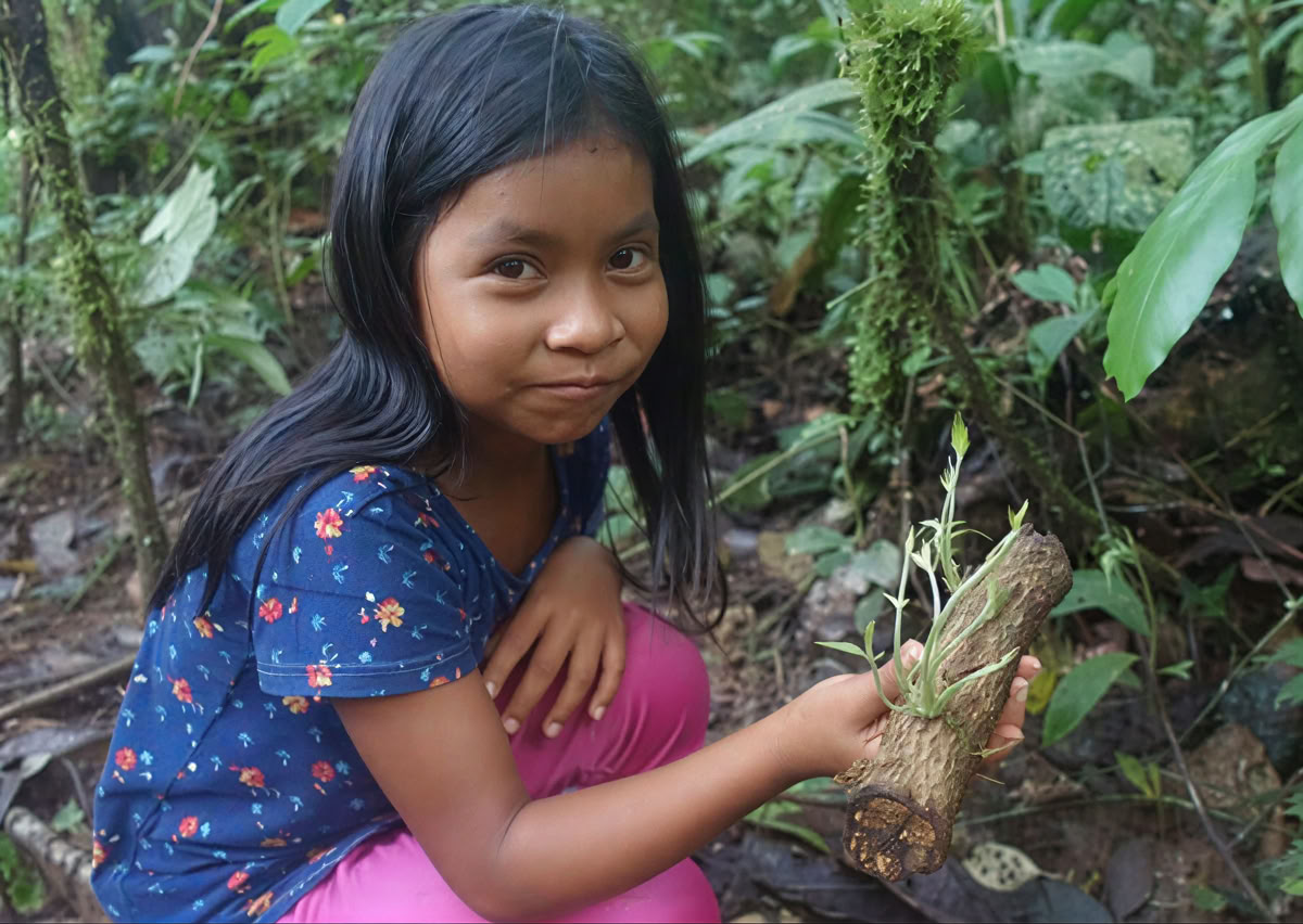 5-day Ayahuasca Retreat in Ecuador