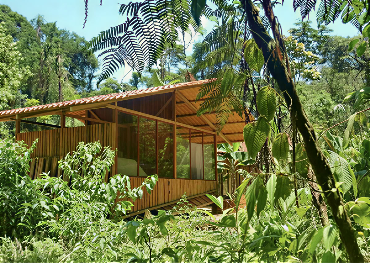 5-day Ayahuasca Retreat in Ecuador