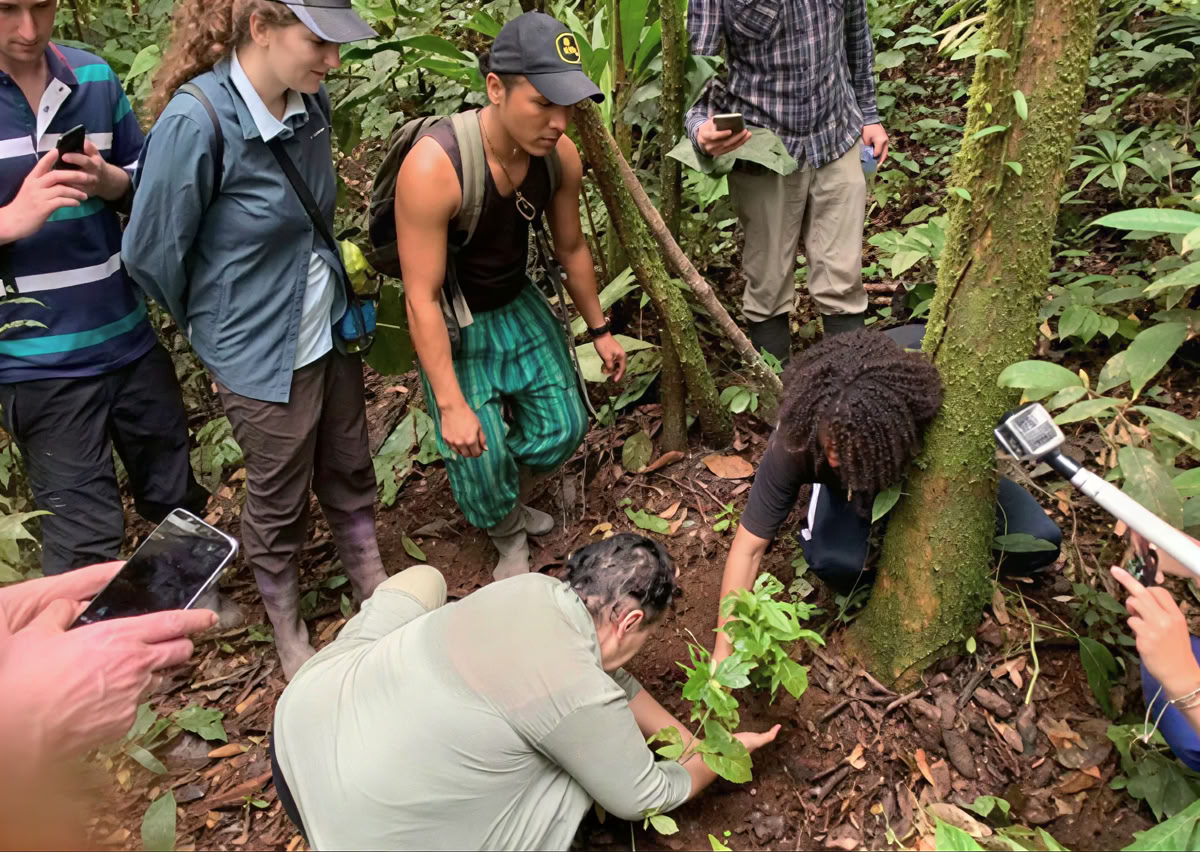 5-day Ayahuasca Retreat in Ecuador